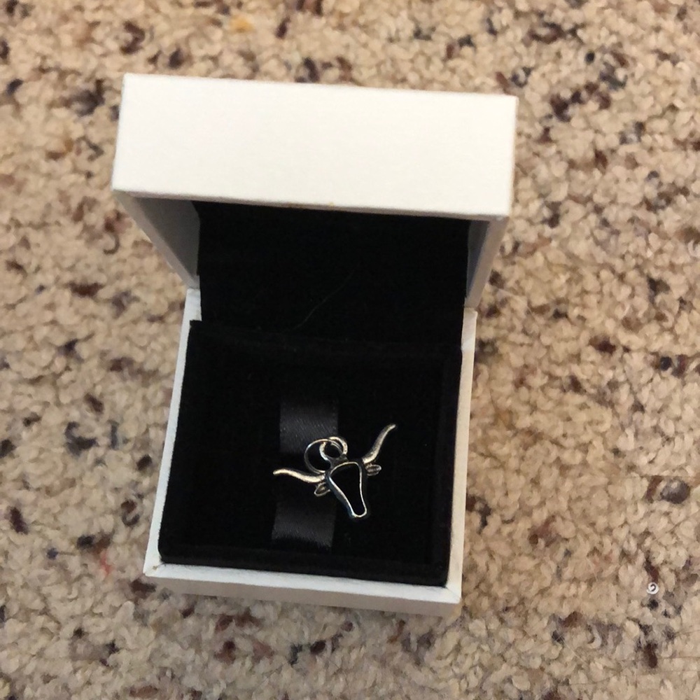Texas Longhorns Silver Game Day Sports Fan Team Charm✨